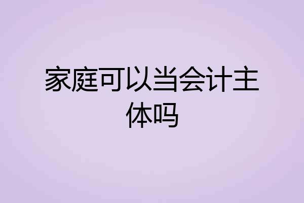家庭可以当会计主体吗