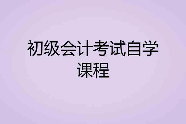 初级会计考试自学课程