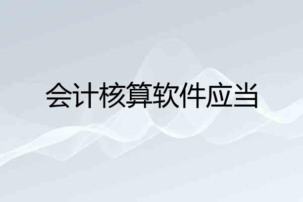 会计核算软件应当