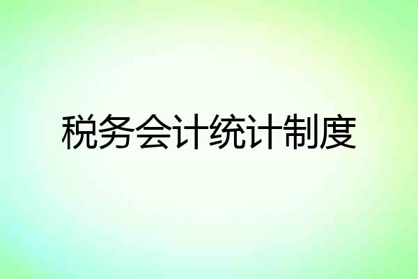 税务会计统计制度
