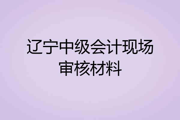 辽宁中级会计现场审核材料