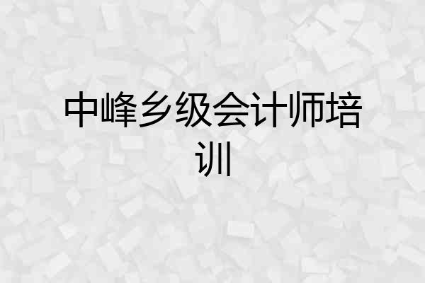 中峰乡级会计师培训