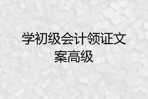 学初级会计领证文案高级