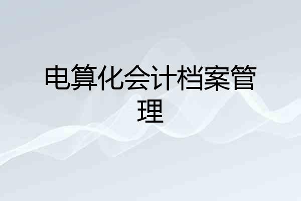 电算化会计档案管理