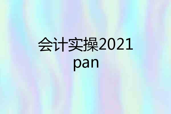 会计实操2021pan
