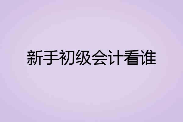 新手初级会计看谁