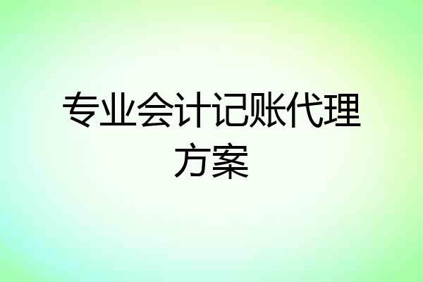 专业会计记账代理方案
