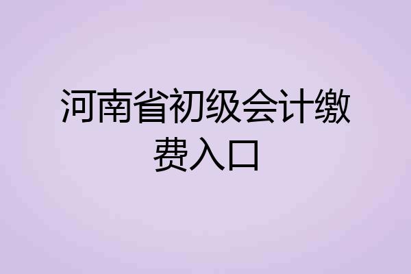河南省初级会计缴费入口