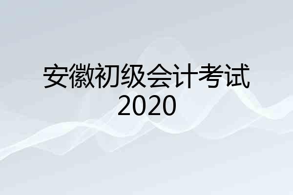 安徽初级会计考试2020