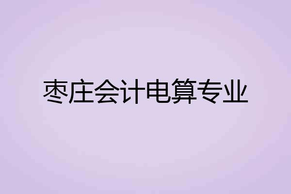 枣庄会计电算专业