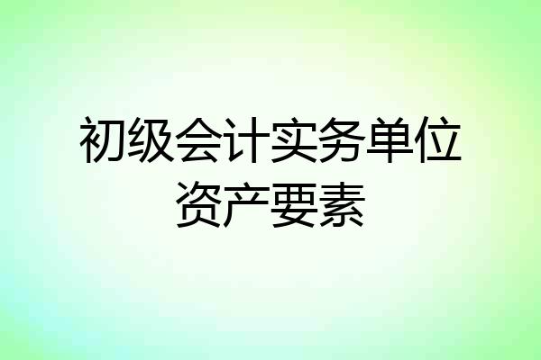 初级会计实务单位资产要素