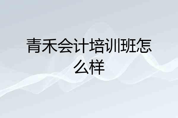 青禾会计培训班怎么样