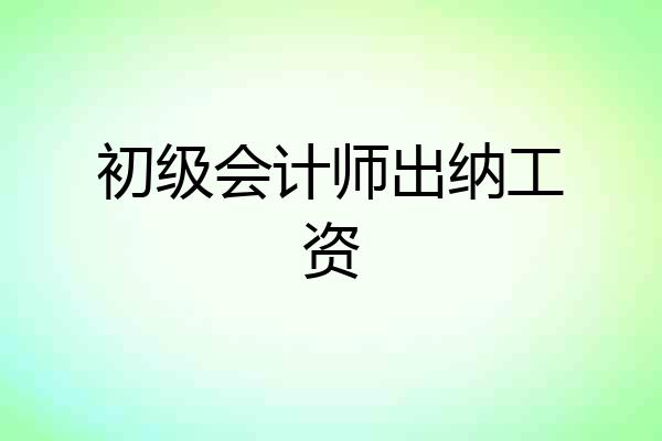 初级会计师出纳工资