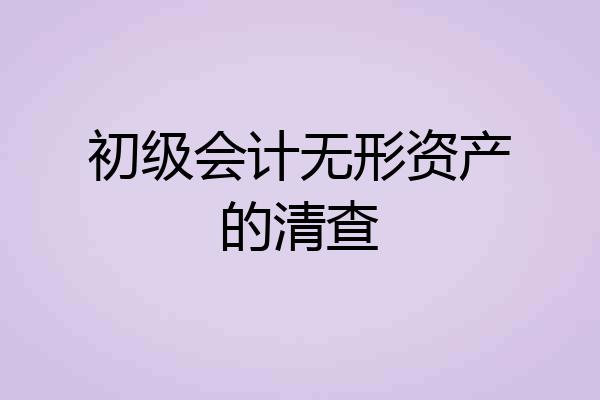初级会计无形资产的清查