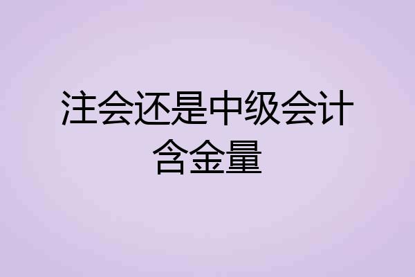 注会还是中级会计含金量