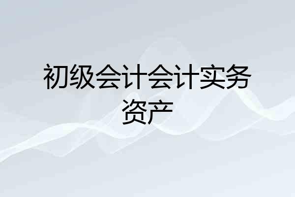 初级会计会计实务资产