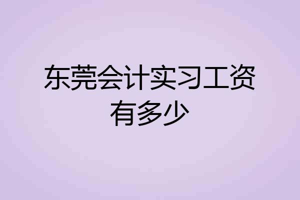 东莞会计实习工资有多少