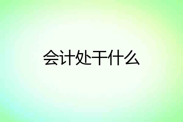 会计处干什么