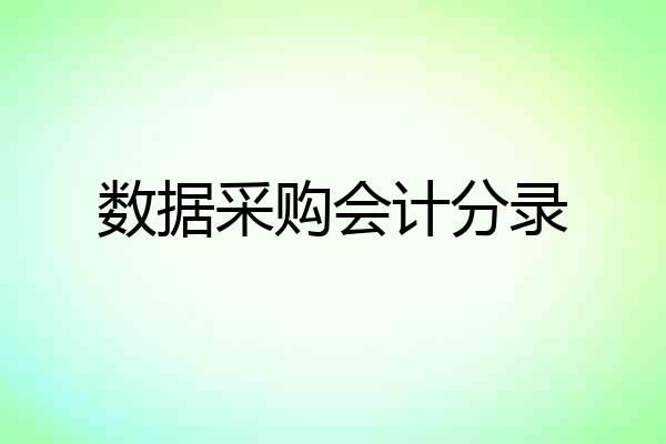 数据采购会计分录