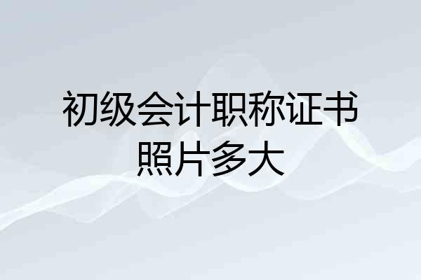 初级会计职称证书照片多大