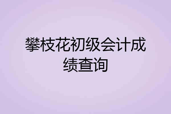 攀枝花初级会计成绩查询