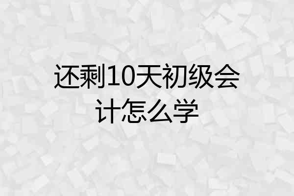 还剩10天初级会计怎么学