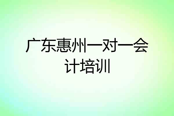 广东惠州一对一会计培训