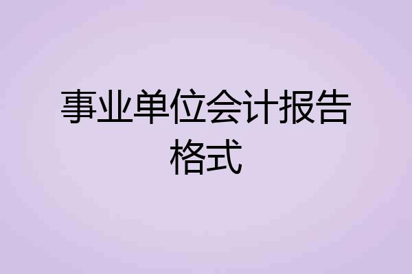 事业单位会计报告格式