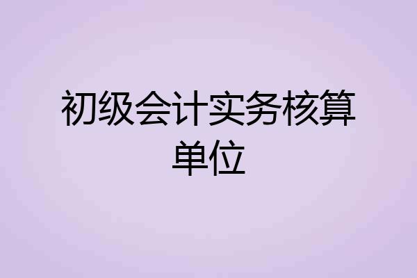 初级会计实务核算单位