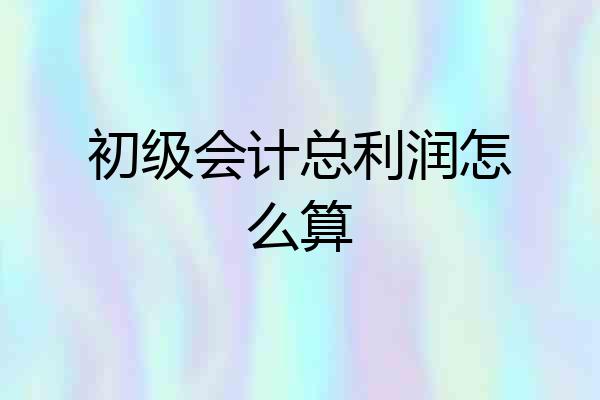 初级会计总利润怎么算