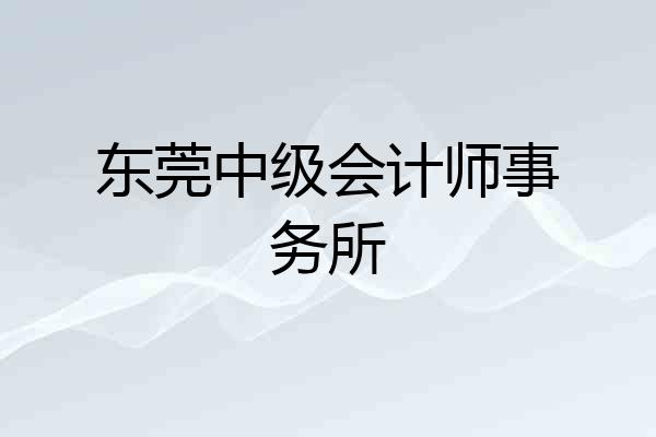 东莞中级会计师事务所