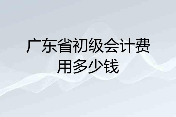 广东省初级会计费用多少钱
