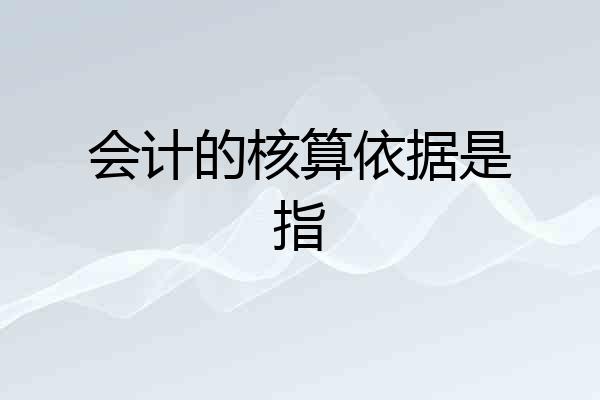 会计的核算依据是指