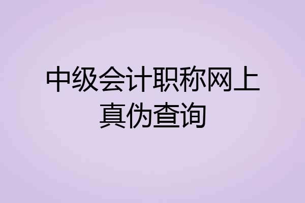 中级会计职称网上真伪查询