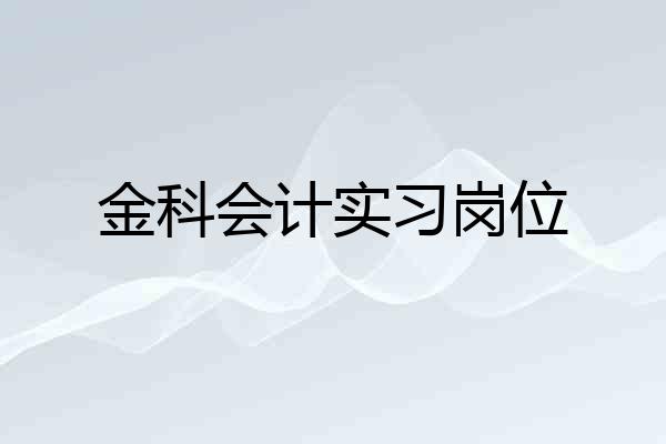 金科会计实习岗位
