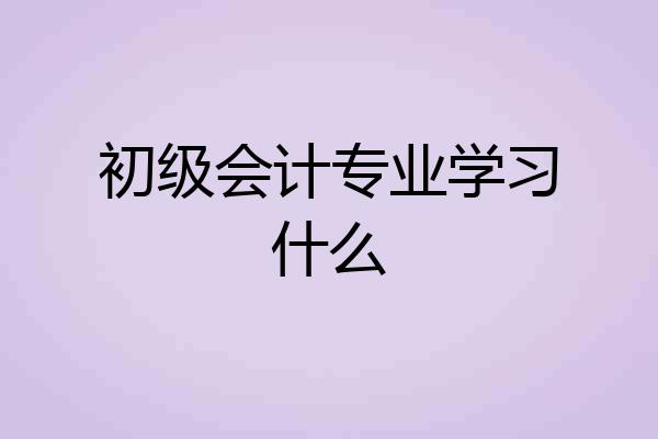 初级会计专业学习什么