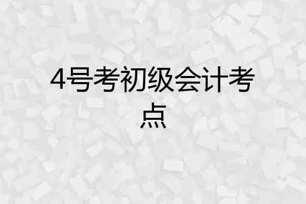 4号考初级会计考点