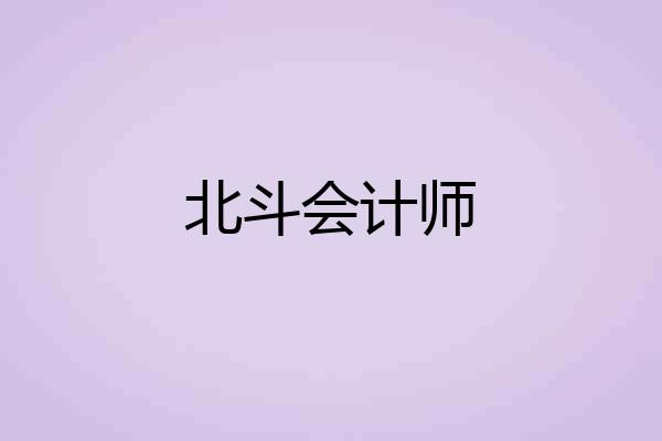 北斗会计师