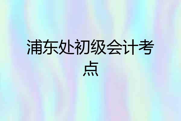 浦东处初级会计考点