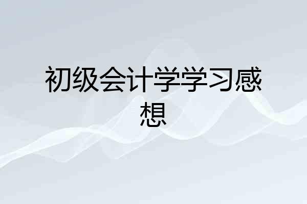 初级会计学学习感想