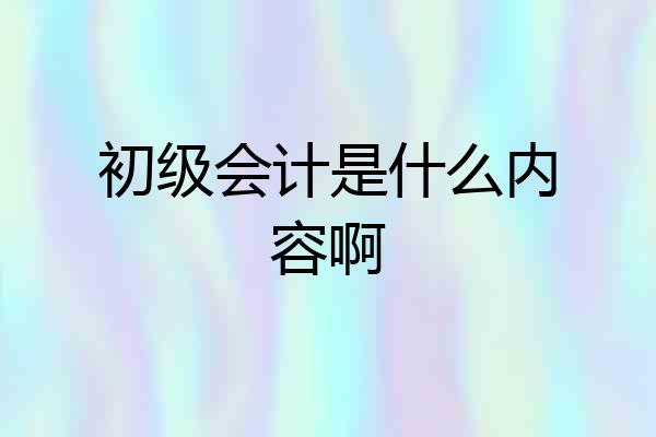 初级会计是什么内容啊