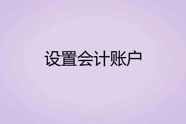 设置会计账户