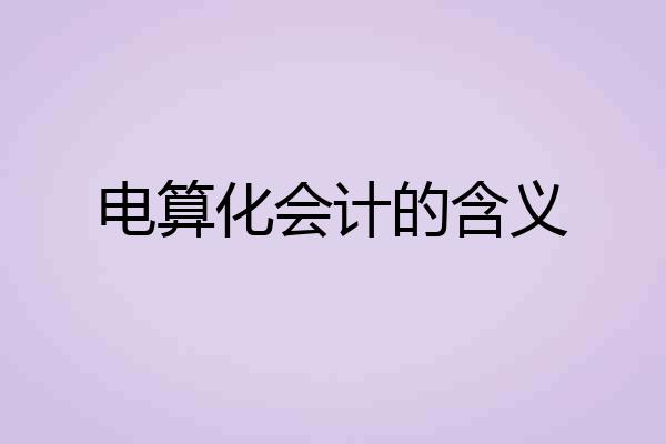 电算化会计的含义