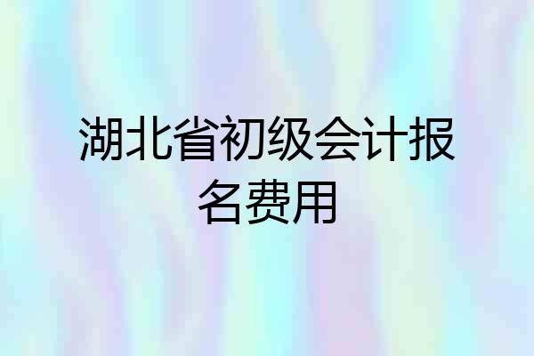 湖北省初级会计报名费用