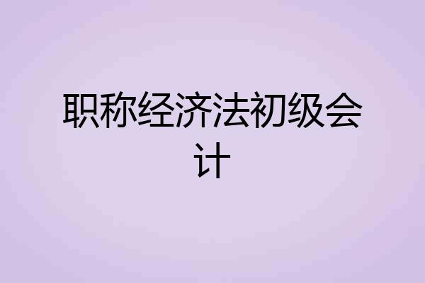 职称经济法初级会计