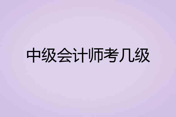 中级会计师考几级