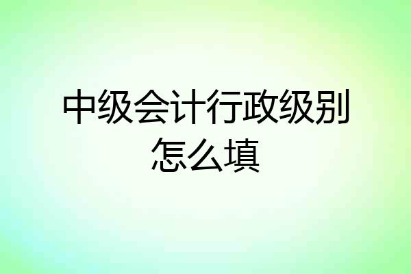 中级会计行政级别怎么填