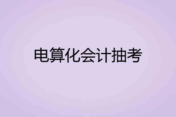 电算化会计抽考