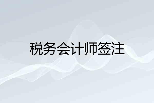 税务会计师签注