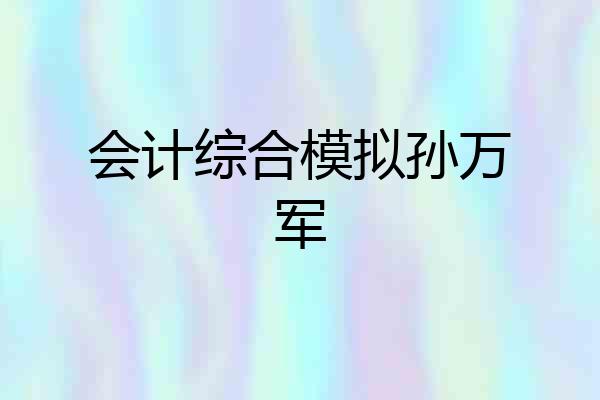 会计综合模拟孙万军